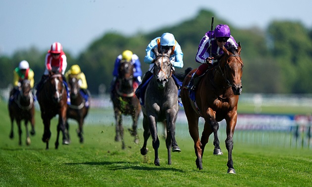 Royal Ascot 2023 Commonwealth Cup: Little Big Bear to Shine