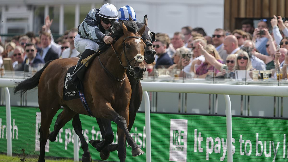 Impressive Passenger Triumphs at Huxley Stakes in Chester | Royal Ascot Bound